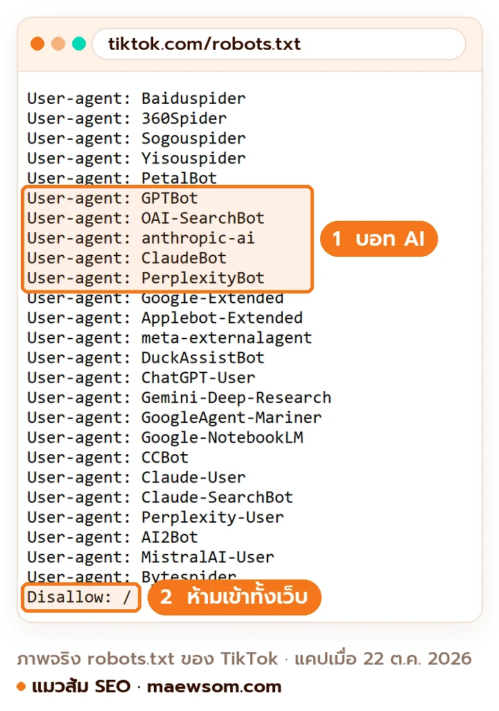 ภาพหน้าจอจริงไฟล์ robots.txt ของ TikTok วันที่ 22 ต.ค. 2026 มีรายชื่อบอท AI เช่น GPTBot OAI-SearchBot anthropic-ai ClaudeBot PerplexityBot และบรรทัด Disallow ทับ ที่แปลว่าห้ามเข้าทั้งเว็บ