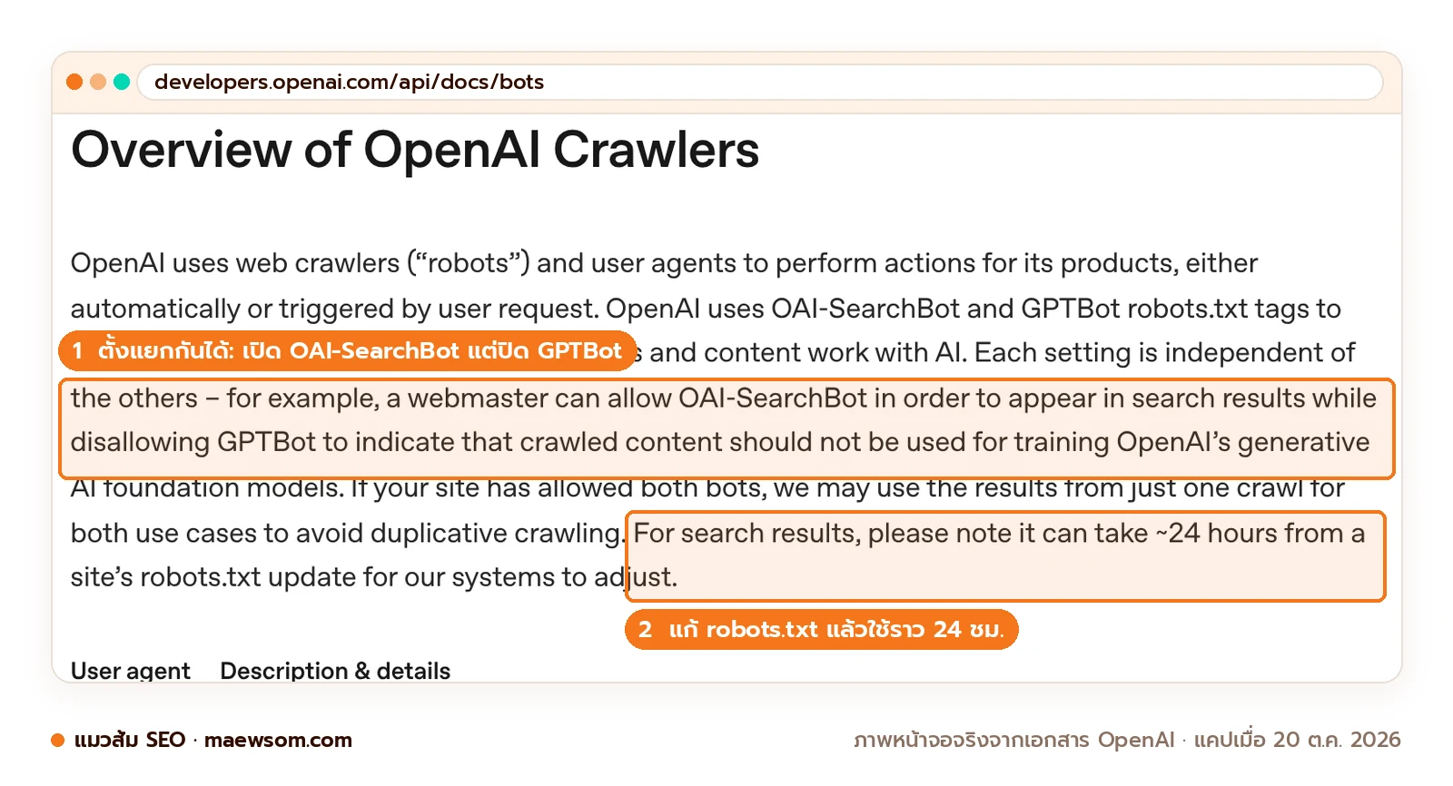 ภาพหน้าจอเอกสาร Overview of OpenAI Crawlers ไฮไลต์ว่าตั้งค่า OAI-SearchBot กับ GPTBot แยกกันได้ และการแก้ robots.txt มีผลในราว 24 ชั่วโมง