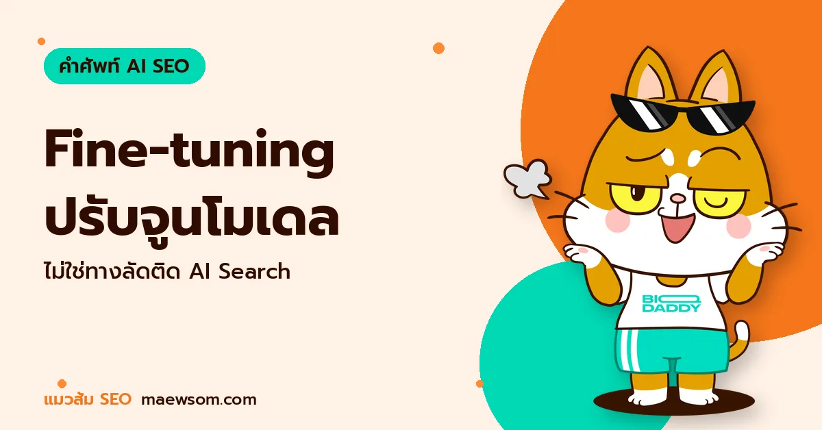 Fine-tuning ปรับจูนโมเดล - แมวส้ม SEO