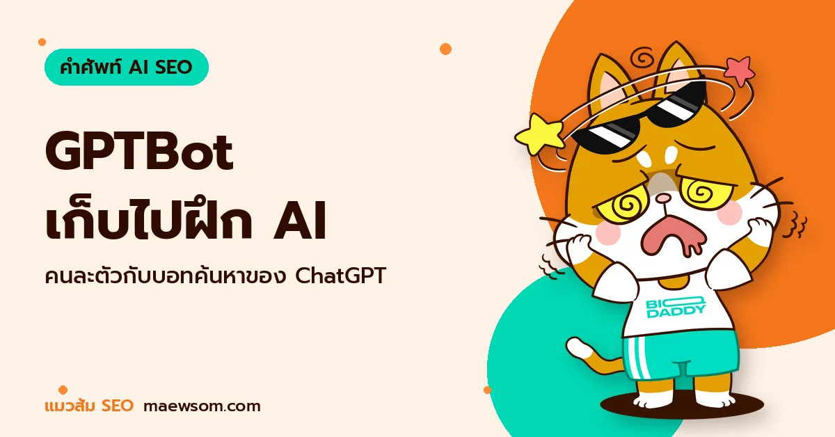 GPTBot เก็บไปฝึก AI - แมวส้ม SEO
