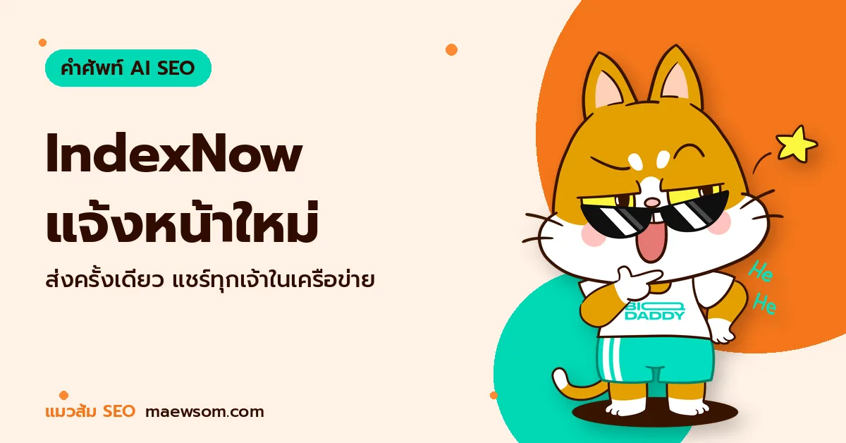 IndexNow แจ้งหน้าใหม่ - แมวส้ม SEO