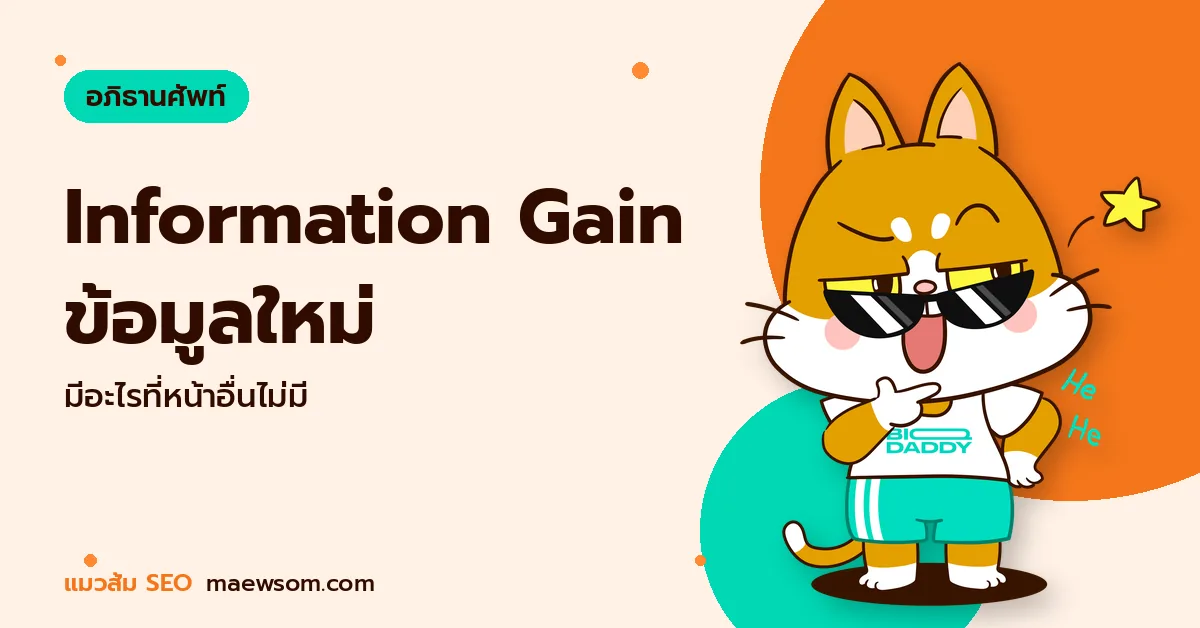 Information Gain คืออะไร ทำไมหน้าที่มีข้อมูลใหม่ถึงถูก AI หยิบไปอ้าง Information Gain ข้อมูลใหม่ - แมวส้ม SEO