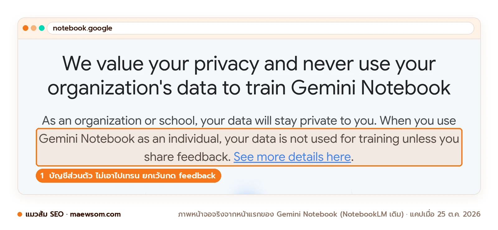 หน้าแรก Gemini Notebook เขียนว่าไม่ใช้ข้อมูลองค์กรเทรน ส่วนบัญชีส่วนตัวไม่ถูกใช้เทรน เว้นแต่ผู้ใช้กดส่ง feedback
