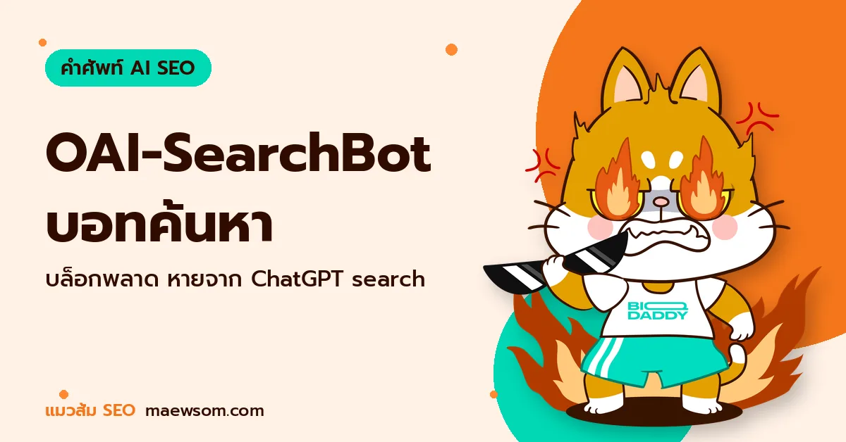 OAI-SearchBot บอทค้นหา - แมวส้ม SEO