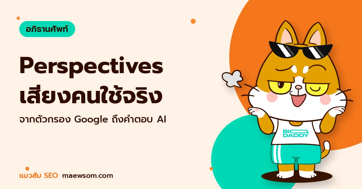 Perspectives เสียงคนใช้จริง - แมวส้ม SEO