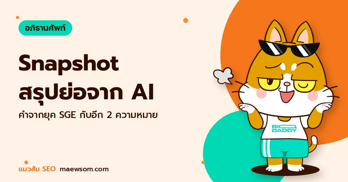 Snapshot สรุปย่อจาก AI - แมวส้ม SEO