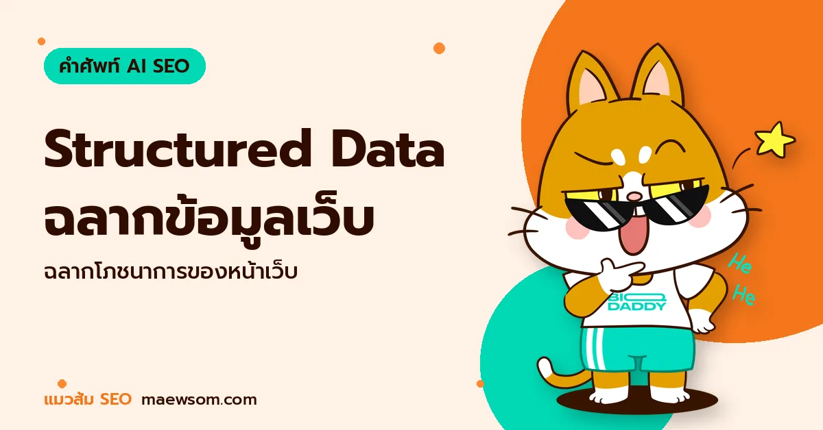 Structured Data ฉลากข้อมูลเว็บ - แมวส้ม SEO