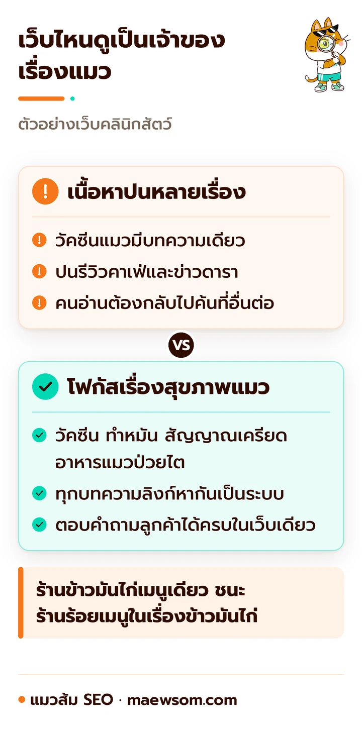เทียบเว็บคลินิกสัตว์สองแบบ แบบแรกมีบทความวัคซีนแมวชิ้นเดียวปนเรื่องอื่น แบบที่สองมีบทความดูแลสุขภาพแมวหลายเรื่องเชื่อมลิงก์กัน