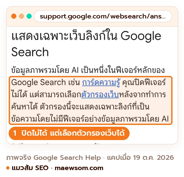 ภาพหน้าจอจริงจากหน้าช่วยเหลือ Google Search ภาษาไทย ระบุว่าข้อมูลภาพรวมโดย AI เป็นฟีเจอร์หลัก คุณปิดฟีเจอร์ไม่ได้ แต่เลือกตัวกรองเว็บหลังค้นหาได้