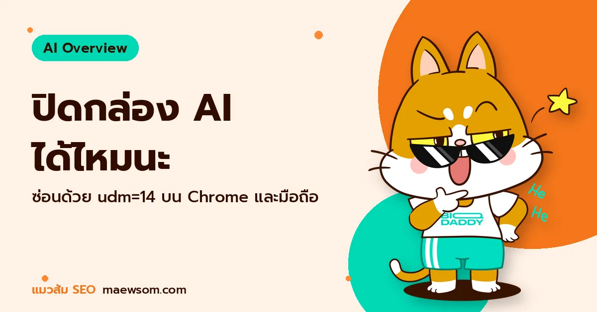 ปิดกล่อง AI ได้ไหมนะ - แมวส้ม SEO